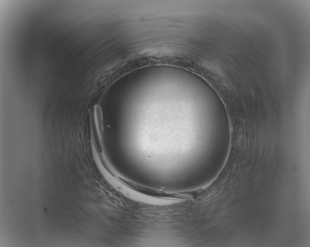 X0000073430966200608041046