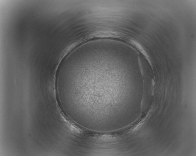X0000073430986200608041045