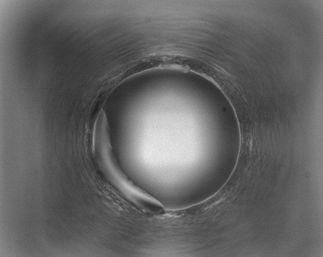 X0000073431014200608041044