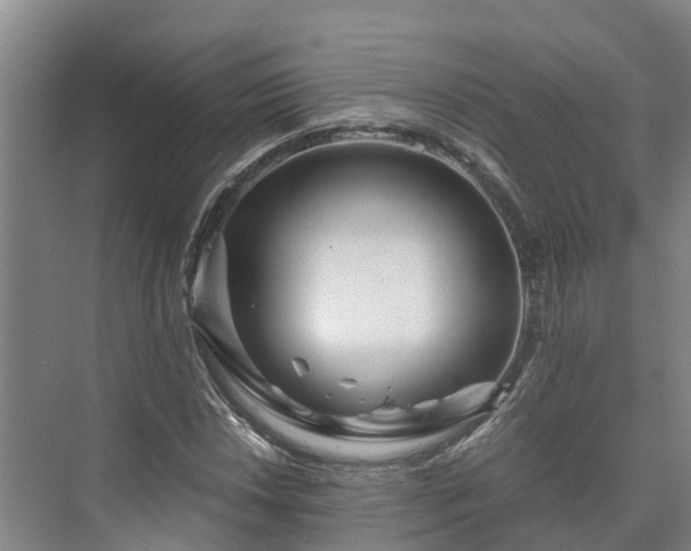X0000073431018200608041044