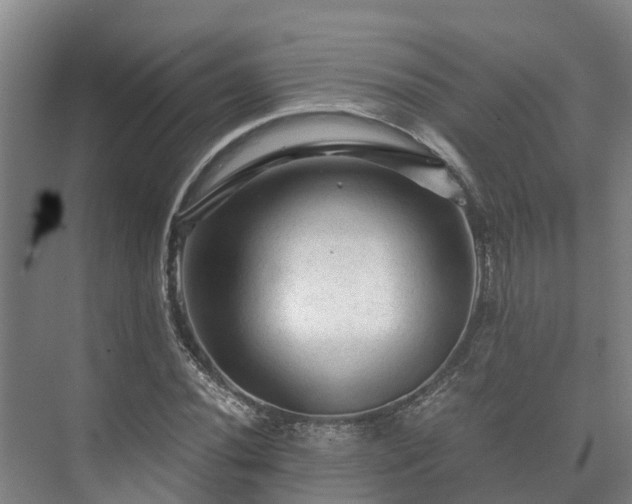 X0000073431020200608041045