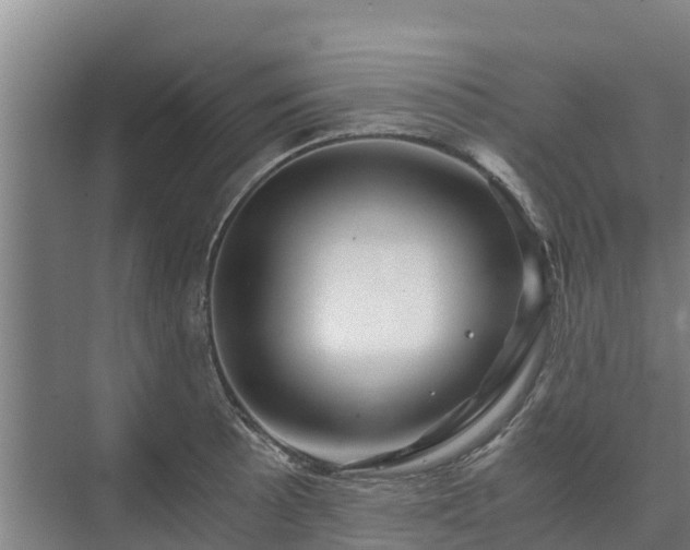 X0000073431089200608041044