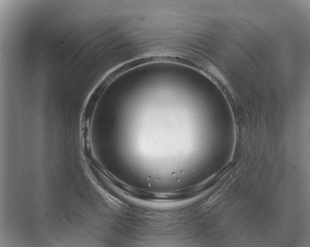 X0000073431124200608041043