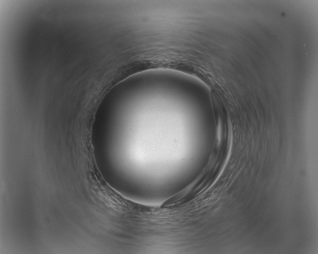 X0000073431153200608041043