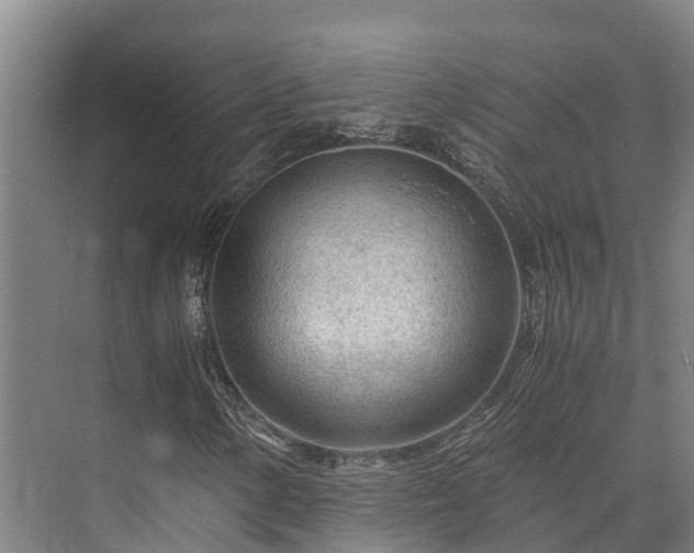 X0000073431154200608041043