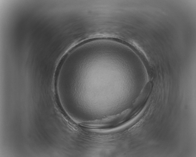 X0000073431173200608041042