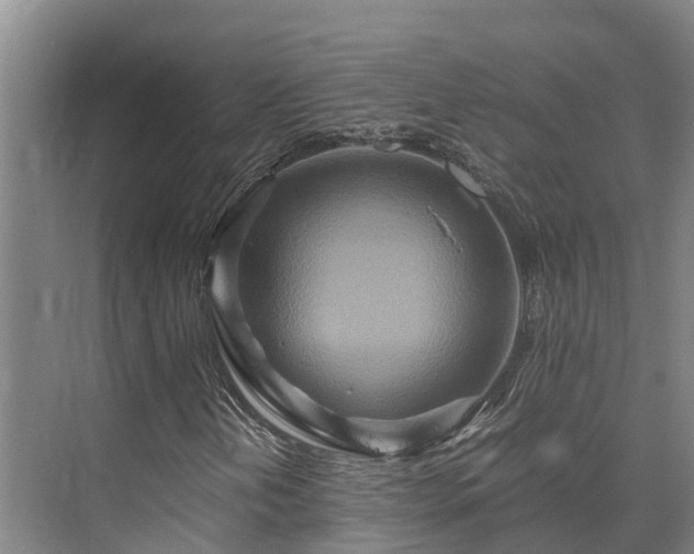 X0000073431202200608041041