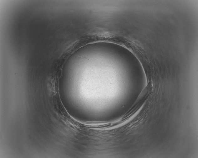 X0000073431205200608041041