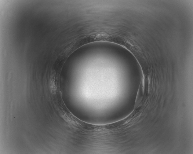 X0000073431250200608041041