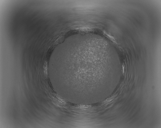 X0000073431251200608041041