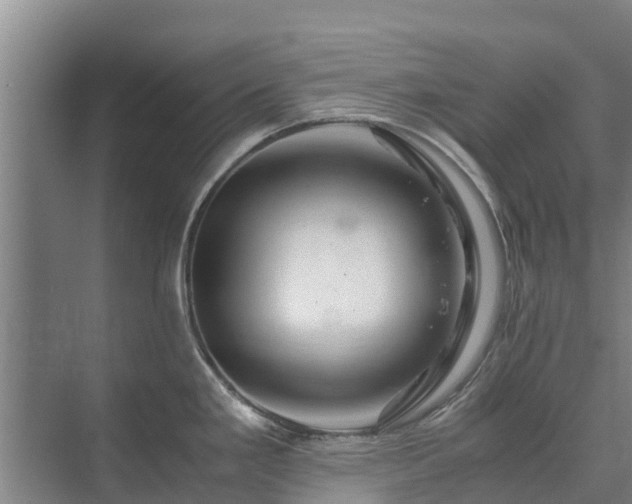 X0000073431293200608041040