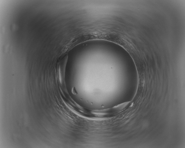 X0000073431298200608041040