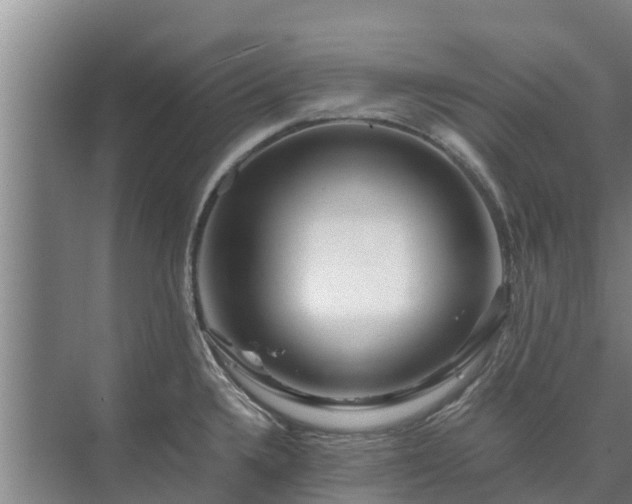 X0000073431336200608041040