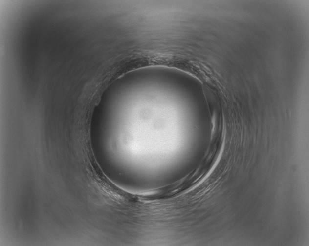 X0000073431345200608041039