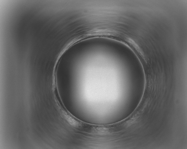 X0000073431370200608041039