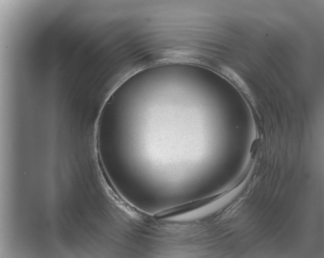 X0000073431386200608041039
