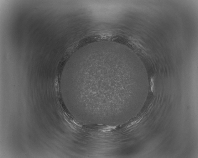 X0000073431395200608041038