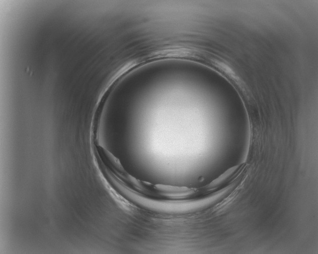X0000073431426200608041038