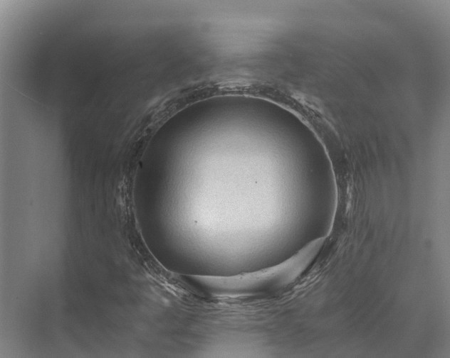 X0000073431445200608041038