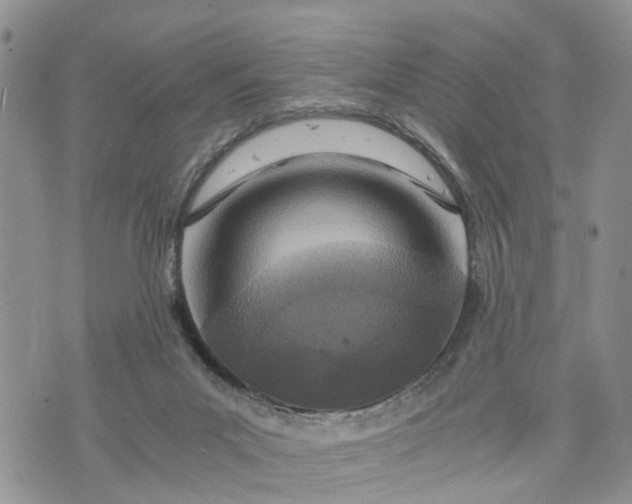X0000073430023200608111311