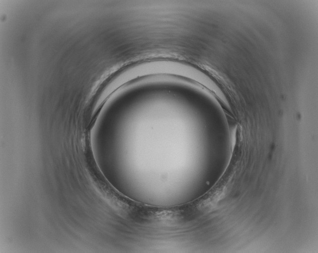X0000073430064200608111310