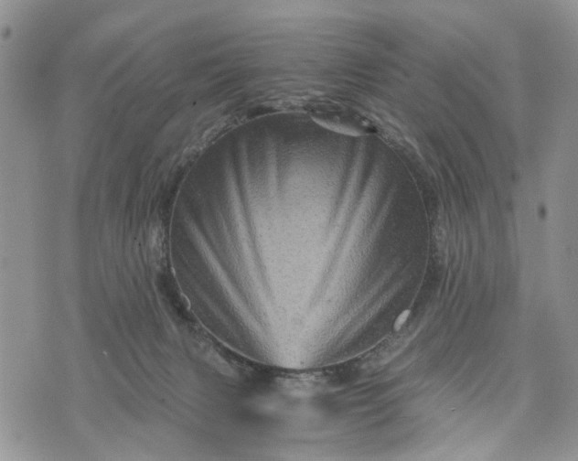 X0000073430079200608111311