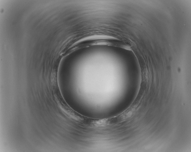 X0000073430092200608111311
