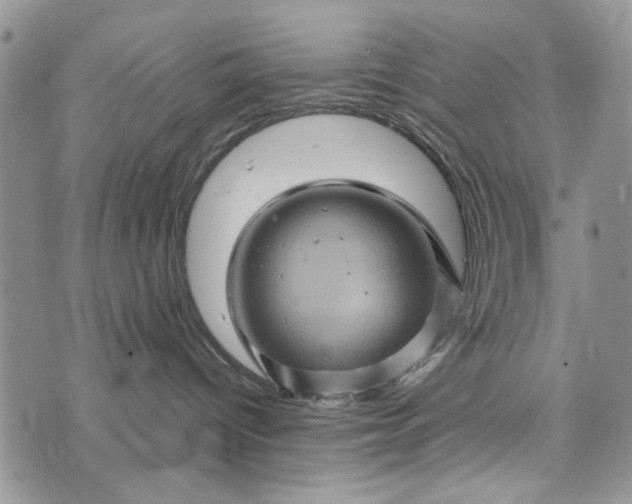 X0000073430096200608111311