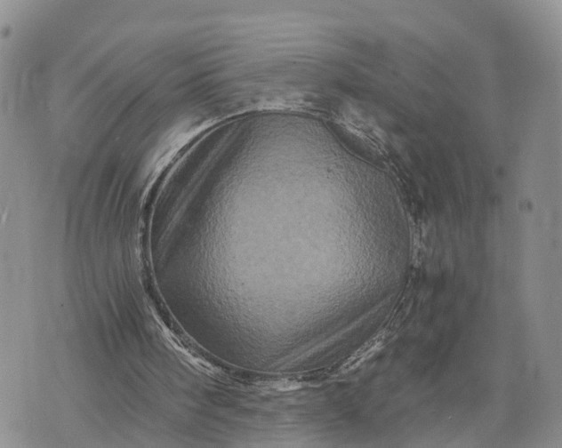 X0000073430098200608111310