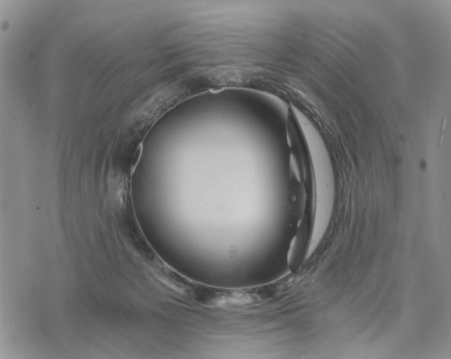 X0000073430125200608111310