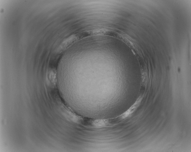 X0000073430142200608111309