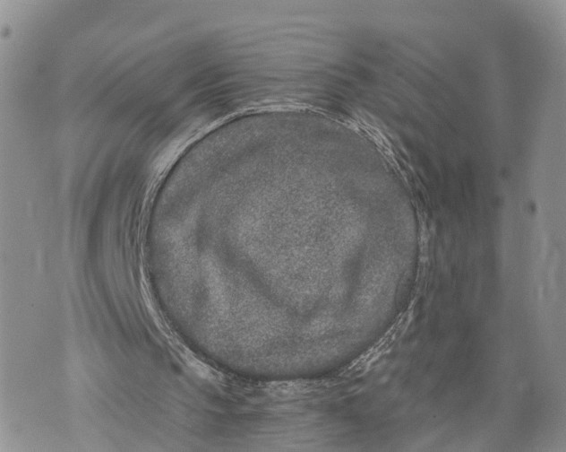 X0000073430145200608111308