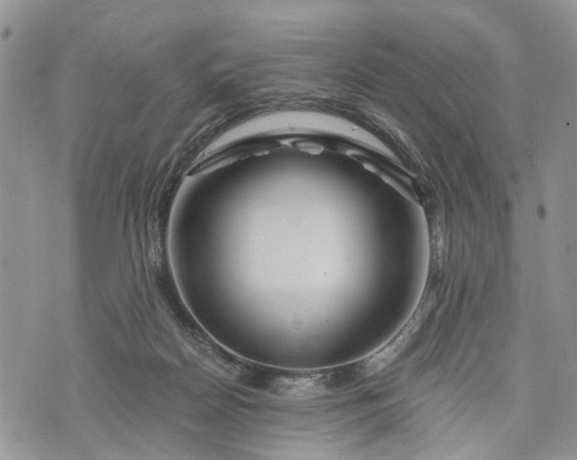 X0000073430170200608111309