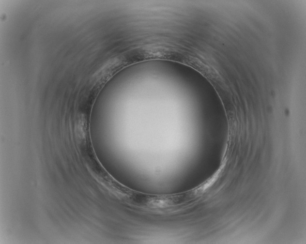 X0000073430174200608111309