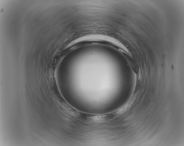 X0000073430184200608111309