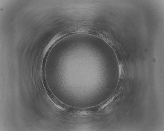 X0000073430195200608111308