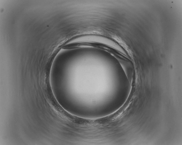 X0000073430201200608111308