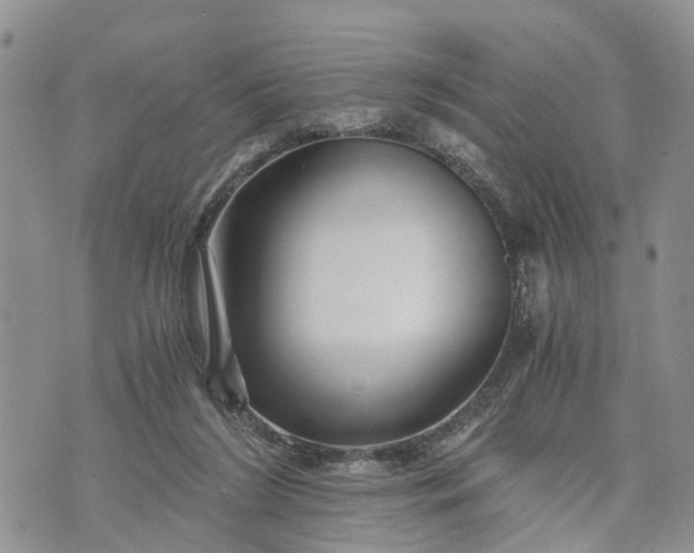 X0000073430212200608111308