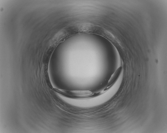 X0000073430217200608111308
