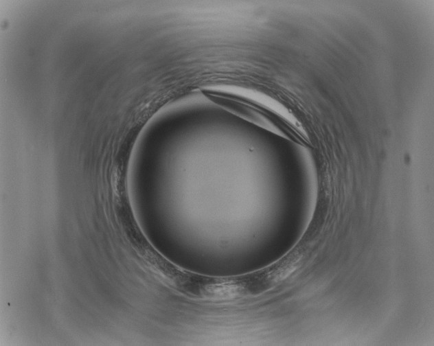 X0000073430219200608111308