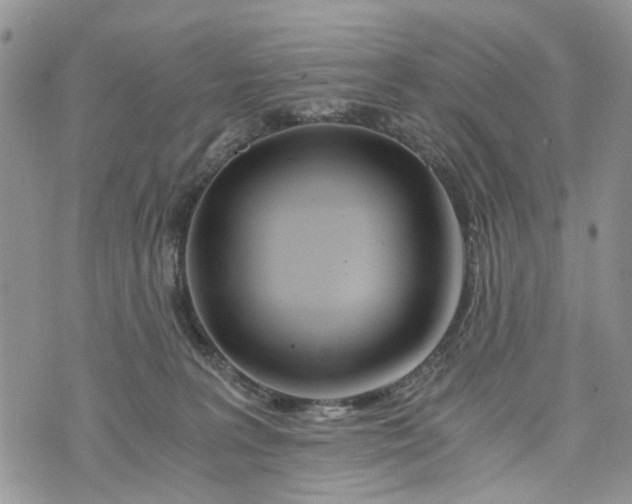 X0000073430227200608111308