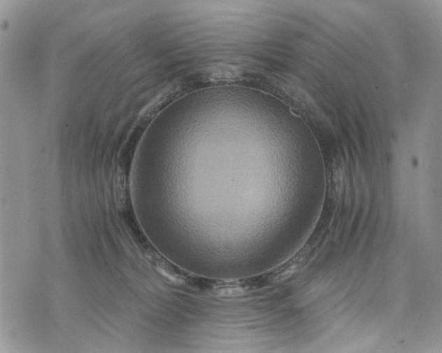 X0000073430228200608111308