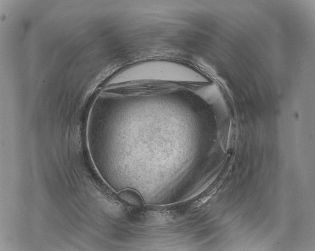 X0000073430250200608111307