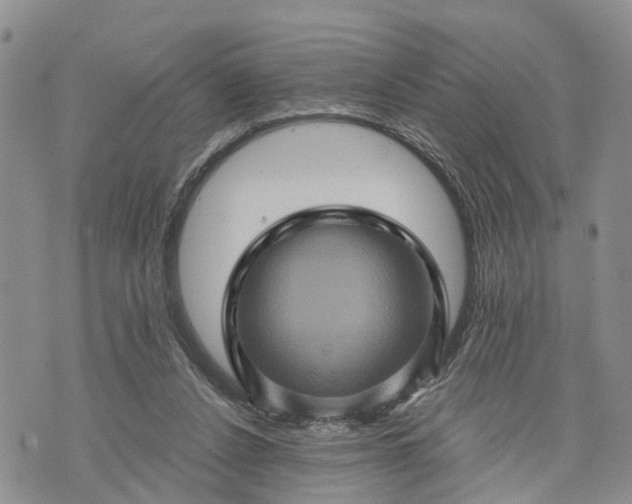 X0000073430256200608111307
