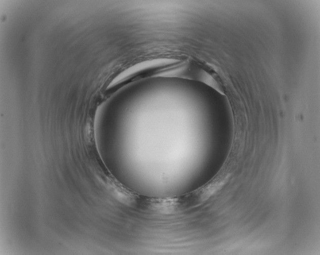 X0000073430288200608111308