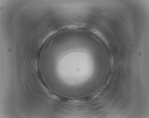 X0000073430297200608111307
