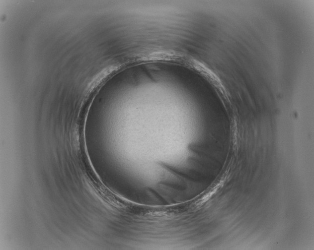 X0000073430298200608111307