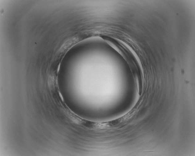 X0000073430333200608111306