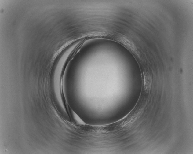X0000073430348200608111306