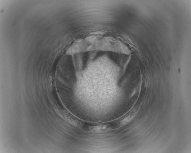 X0000073430366200608111306